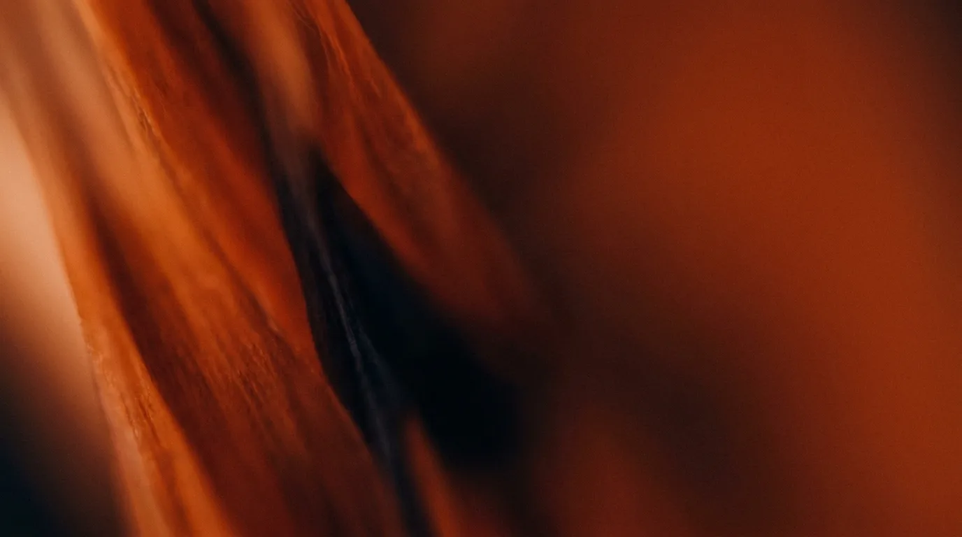 Abstract macro texture of freshly cut grass in ember tones